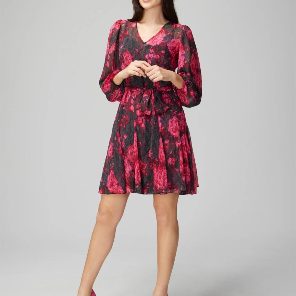 Floral, long sleeve belted mini dress. Never worn.